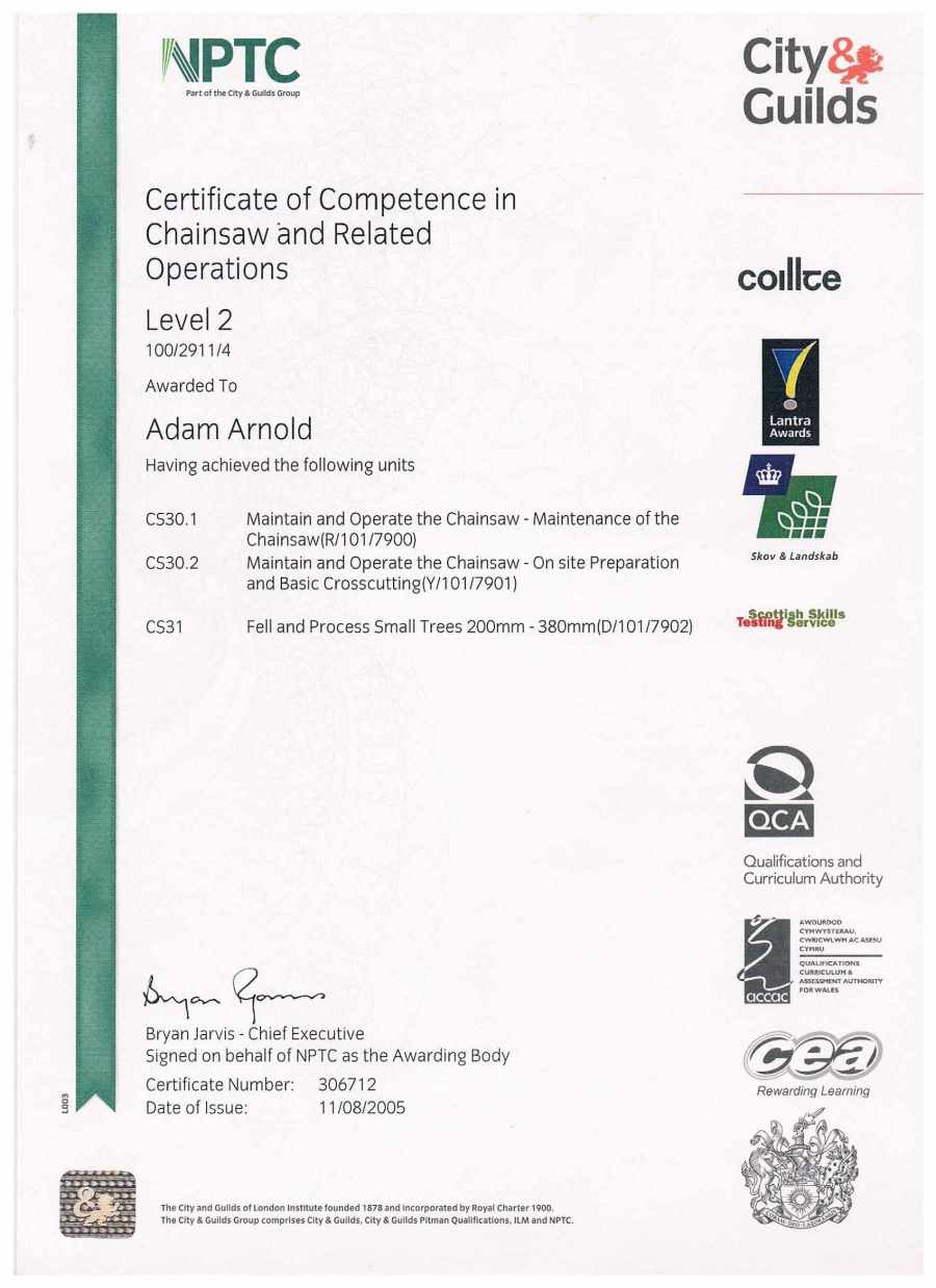 Qualified Tree Surgeons in London GraftinGardeners