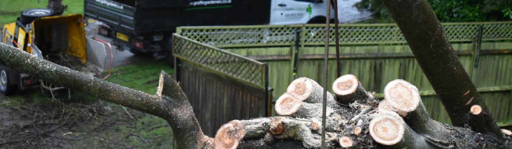 Tree Surgery Testimonials | GraftinGardeners Ltd