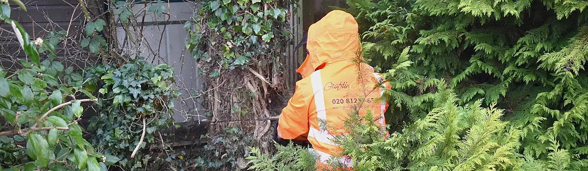 Tree Safety Reports Page Banner