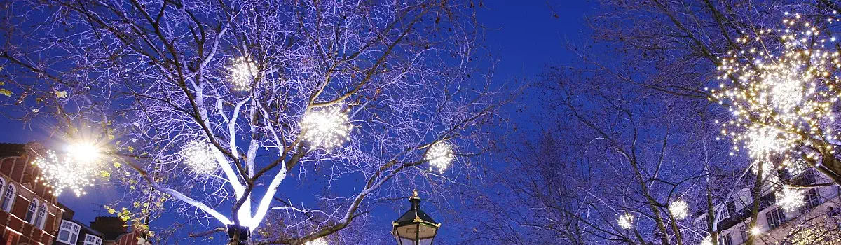 Tree Lighting London Header