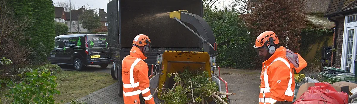 Tree Surgeon Jobs London Header