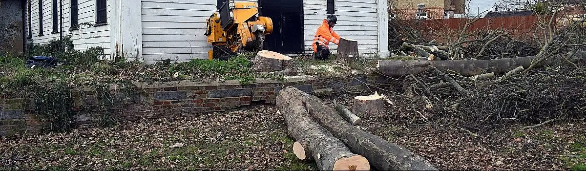 Tree Surgeons Streatham Header