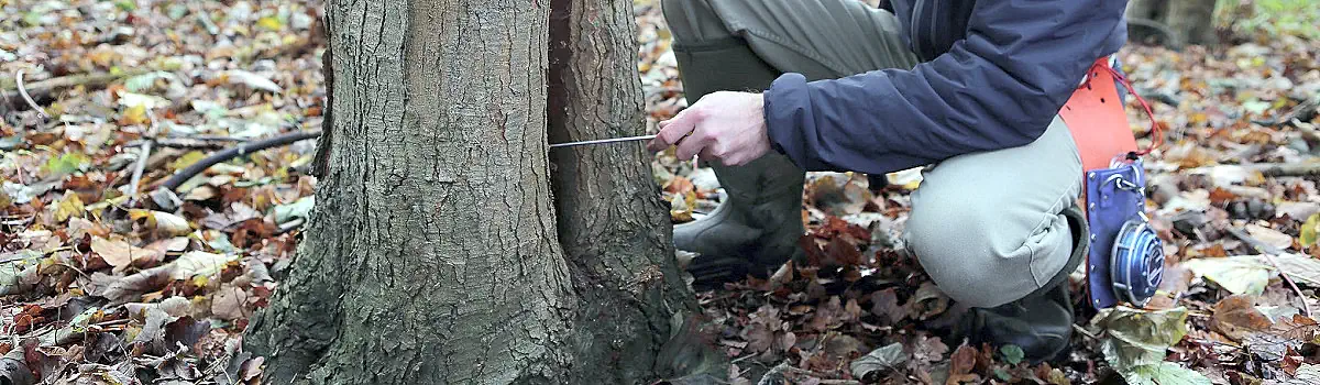 Tree Surveys London Header