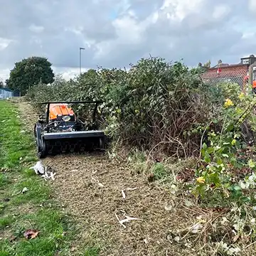 Site Clearance London GraftinGardeners Ltd