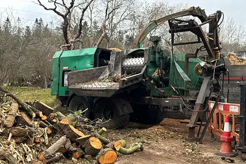 Site Clearance London Services GraftinGardeners Ltd
