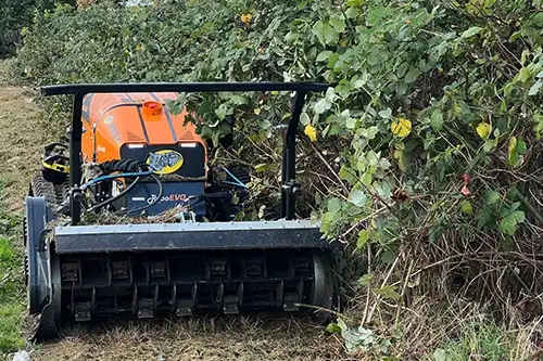 Vegetation Clearance London Service GraftinGardeners Ltd