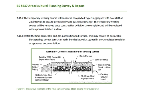 BS 5837 Tree Survey London Service GraftinGardeners Ltd