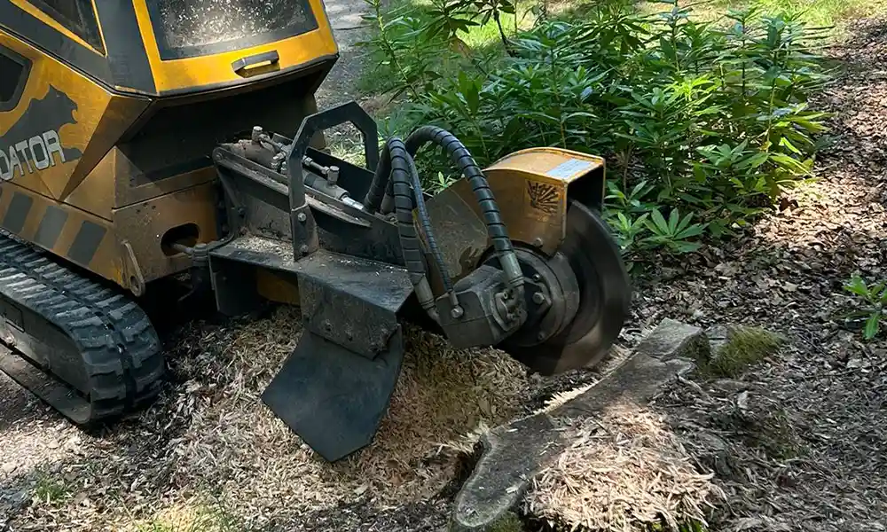 Heavy-duty stump grinder machine removing a tree stump below ground level in London.