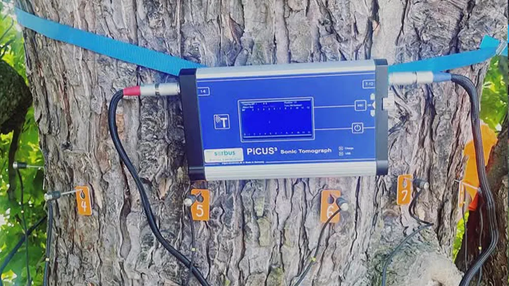 Specialist tree decay detection equipment being used during a survey in London Specialist tree decay detection equipment being used during a tree survey in London