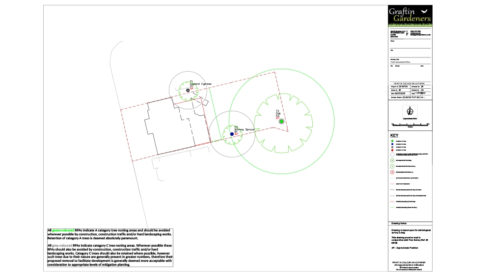 Example Tree Constraints Plan drawing from a BS5837 tree survey in London showing root protection areas