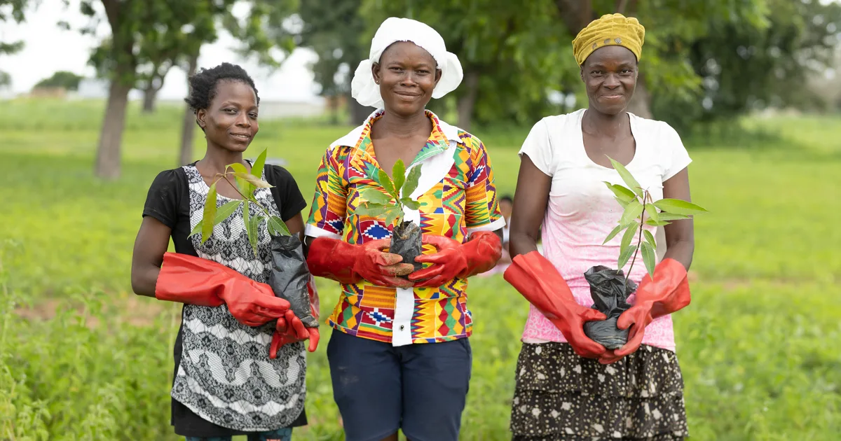 A Tree Aid community group in Ghana, including farmer and student Matilda Adombire