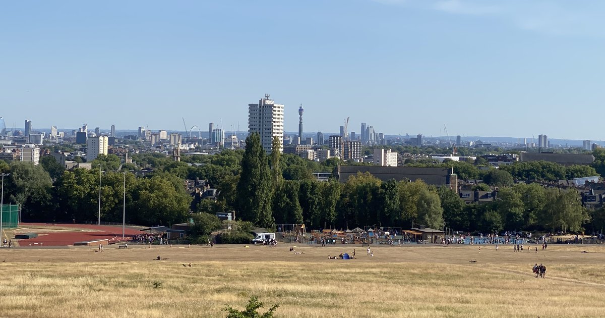 Parched grass on Hampstead Heath with the London skyline during the 2026 drought